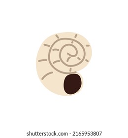 Snail seashell. Abstract spiral swirled sea shell. Marine shellfish, mollusk. Tropical beach mollusc. Flat vector illustration isolated on white background
