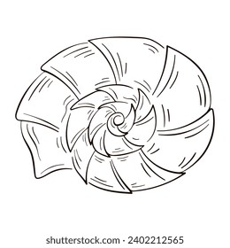 Snail seashell in line art style. Marine underwater twisted seashell of spiral shape. Undersea shellfish. Vector illustration isolated on a white background.