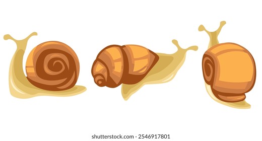 Snail set. Collection of colorful Escargot in a flat vector. Illustration for cosmetics with snail mucin. Small Slow animals in shell cartoon vector style.