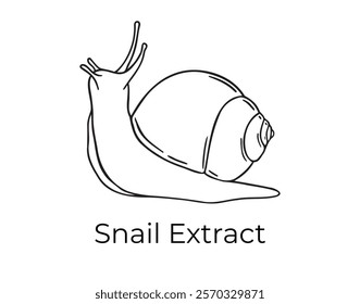 snail shell doodle hand drawn icon. Outline drawing snail shell organic natural cosmetic ingredient line clipart symbol . Vector illustration