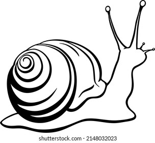 Caracol en el caparazón. Imagen gráfica del molusco. Gráficos vectoriales. Contorsión negra. Icono.
