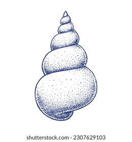 Snail or Shell Hand drawn illustration in Pointilism Technique