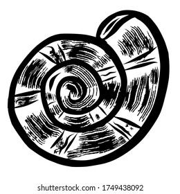 Snail shell hand drawn vector illustration on white background 