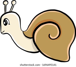 Snail with shell, illustration, vector on white background