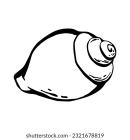 Snail shell or sea conch shell freehand ink line drawing. Vector hand drawn design element isolated on white background.