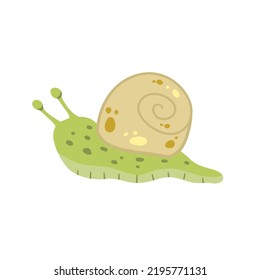 Snail with shell. Small green insect. Forest slow slimy animal.