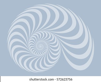 a snail shell spiral pattern in soft gray shades