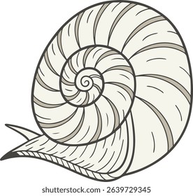 Snail shell spiral from top view in muted natural colors, perfect for educational diagrams, clean decorative designs, and science-themed visuals