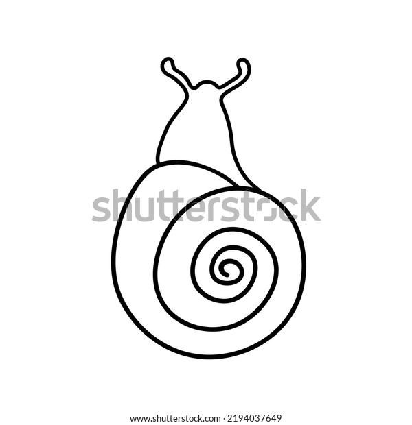 Snail Shell Vector Illustration Outline Snail Stock Vector (Royalty