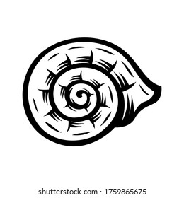 snail shells, sketch style vector illustration isolated on white background.