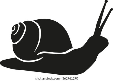 Snail Silhouette