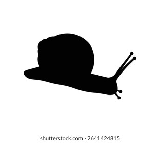 Snail silhouette black background with white isolated