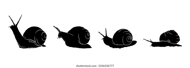 Snail silhouette collection vector illustration