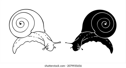 Snail silhouette isolated black on white background. Snail icons set. Vector illustration. For packaging cosmetics and printing web pages.