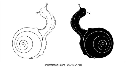 Snail silhouette isolated black on white background. Snail icons set. Vector illustration. For packaging cosmetics and printing web pages.