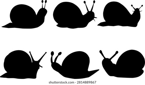Snail Silhouette Set Collection Isolated on White Background