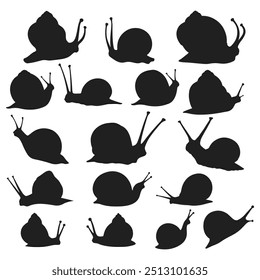 Snail silhouette set Vector design
