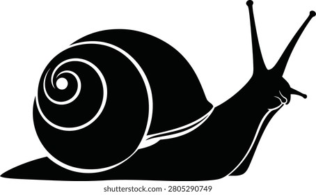 Snail Silhouette with Spiral Shell Isolated on White Background