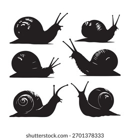 Conjunto de ícone de vetor de silhueta de caracol