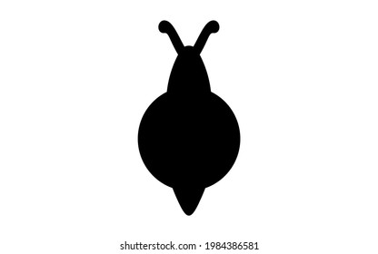 Snail, a simple icon of unpleasant pests