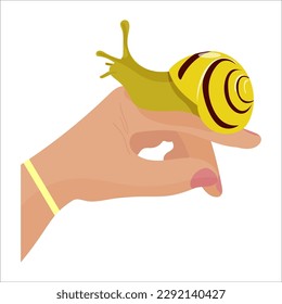 Snail sitting on a hand. Snail as a pet concept. Vector illustration in a cartoon style.