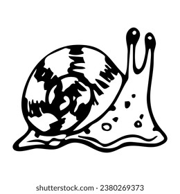 Snail sketch. Clam with shell. Hand drawn illustration.