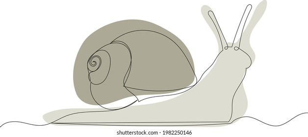 snail, sketch, continuous line drawing, isolated