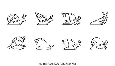 Snail and slug line icon set with various gastropod mollusks and shells for nature and science design
