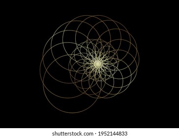 Snail spiral logo. Sea shell of gold circles. Sacred geometry logo template. Logarithmic sequences. Fibonacci spiral logo design. Golden ratio. Flower of life. Divine proportion, isolated on black