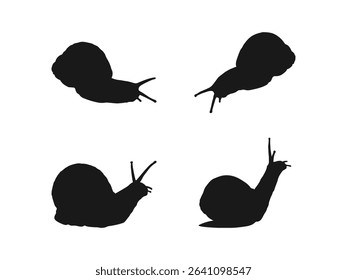 Snail symbol illustration. Silhouettes of Snails in Various Positions. Snail silhouette vector illustration design on a white background.