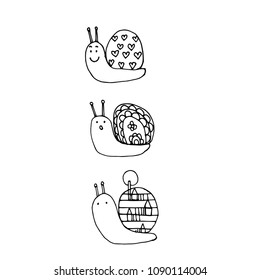  Snail three vecter