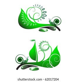 snail travel on leaf