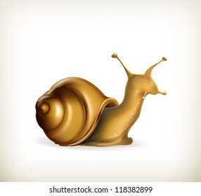 Snail, vector