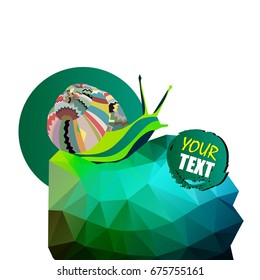 snail, vector, animal, illustration, shell, slug, nature, helix, garden, slow