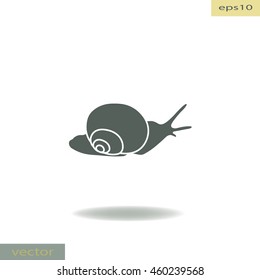 Snail, vector icon