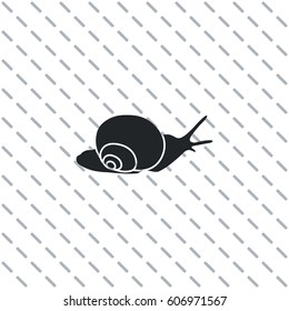 Snail, vector icon