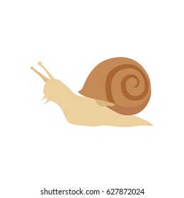 Snail vector icon