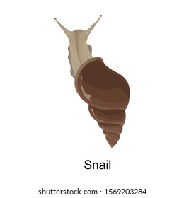 Snail vector icon.Cartoon vector icon isolated on white background snail.