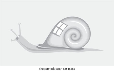 snail, vector illustration