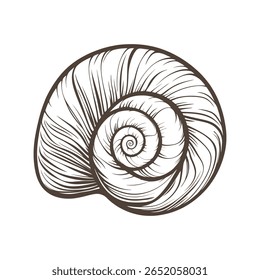 Snail Vector Illustration – Cute Garden Snail Isolated on White Background Realistic Snail on White – Detailed Nature-Inspired Vector Illustration