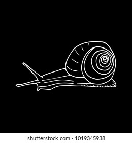 Snail vector illustration. Doodle style. Design, print, decor, textile, paper
