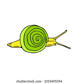 Snail vector illustration. Doodle style. Design, print, decor, textile, paper