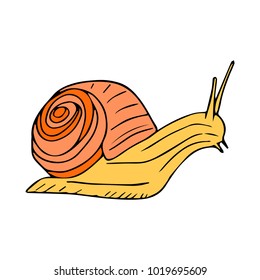 Snail vector illustration. Doodle style. Design, print, decor, textile, paper