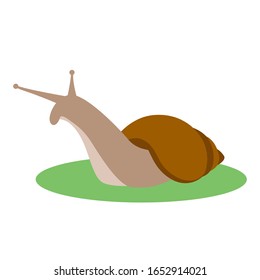 snail, vector illustration, flat style profile side