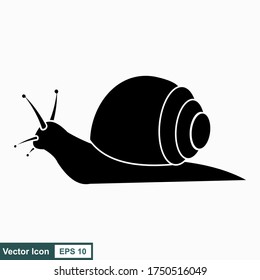 Snail. Vector illustration isolated on white background, flat design, cartoon style.