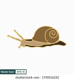 Snail. Vector illustration isolated on white background, flat design, cartoon style.