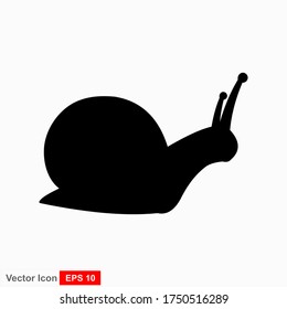 Snail. Vector illustration isolated on white background, flat design, cartoon style.