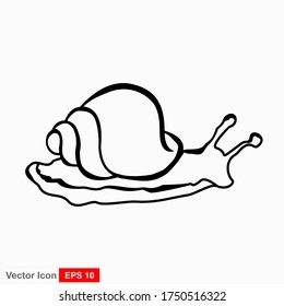 Caracol. Ilustración vectorial aislada en fondo blanco, diseño plano, estilo de dibujos animados.