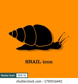 Snail. Vector illustration isolated on white background, flat design, cartoon style.