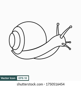 Caracol. Ilustración vectorial aislada en fondo blanco, diseño plano, estilo de dibujos animados.
